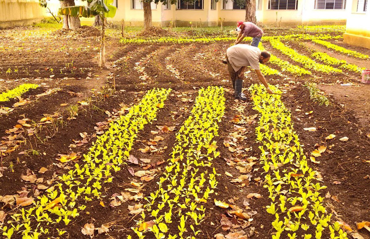 Huerto escolar refuerza alimentación en la Marta Abreu de Villa Clara
 
acn.cu/cuba/huerto-es…