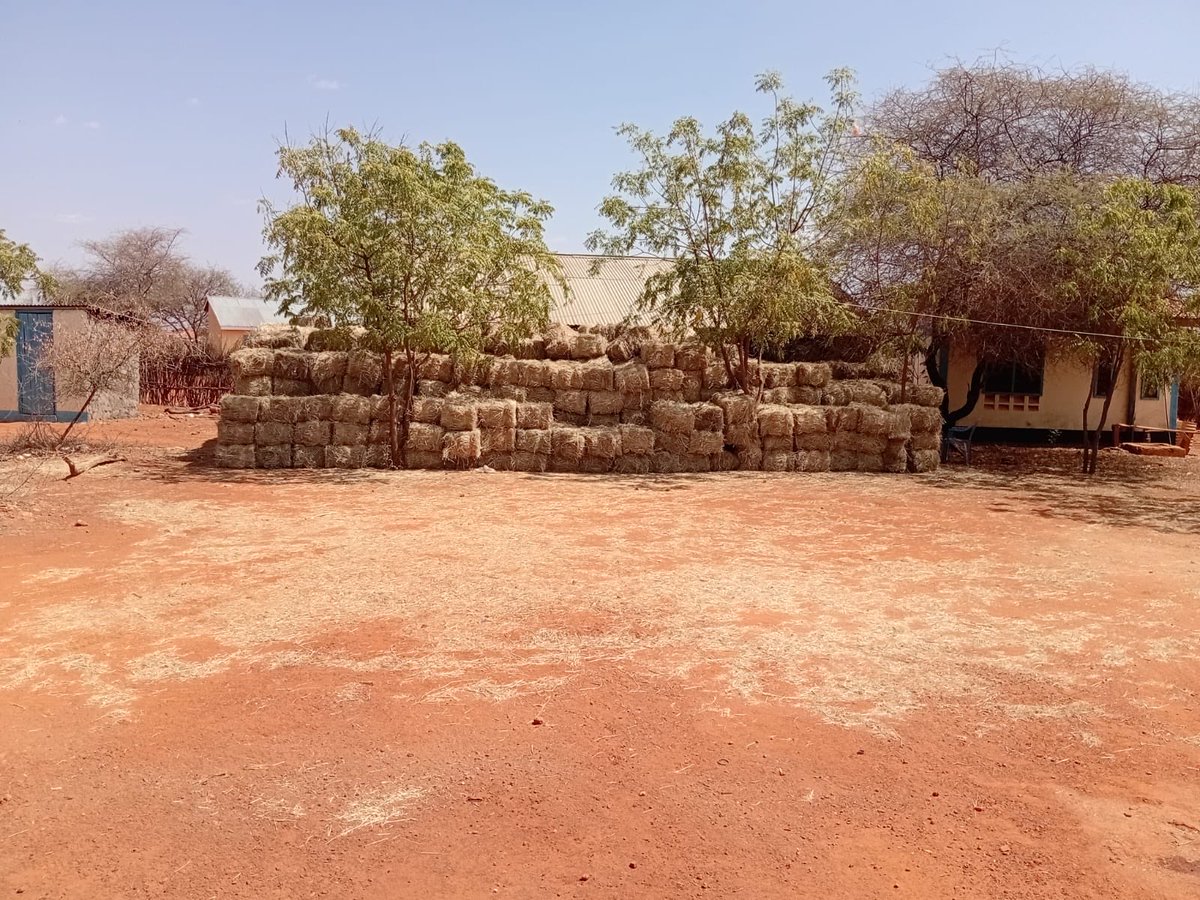 Hon. Abdul Haro (Kore)- MP, Mandera South tweet media