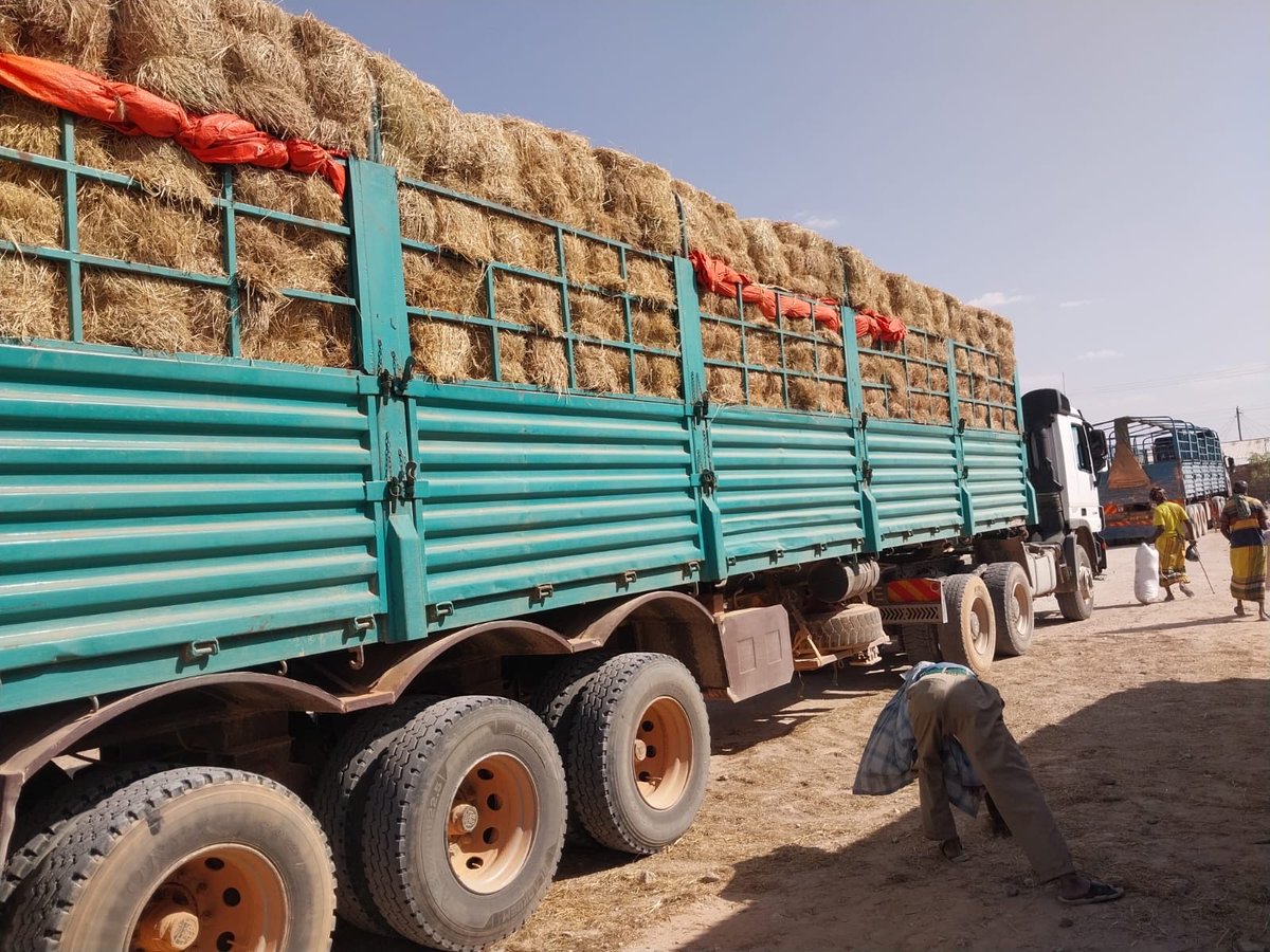 Hon. Abdul Haro (Kore)- MP, Mandera South tweet media