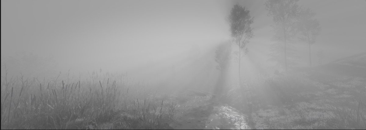 🎥 Benjamin Tuttle tweet media