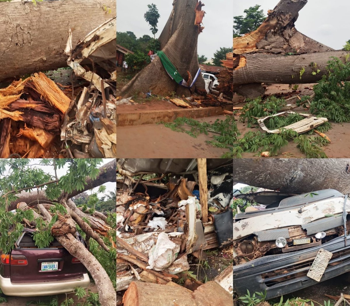 tweeterests's tweet photo. Nigerian Tree  kills 11 persons While Sitting in Commercial Vehicles waiting to Travel in Enugu community https://t.co/zgQzcOS26z https://t.co/viYgyAr3VP
