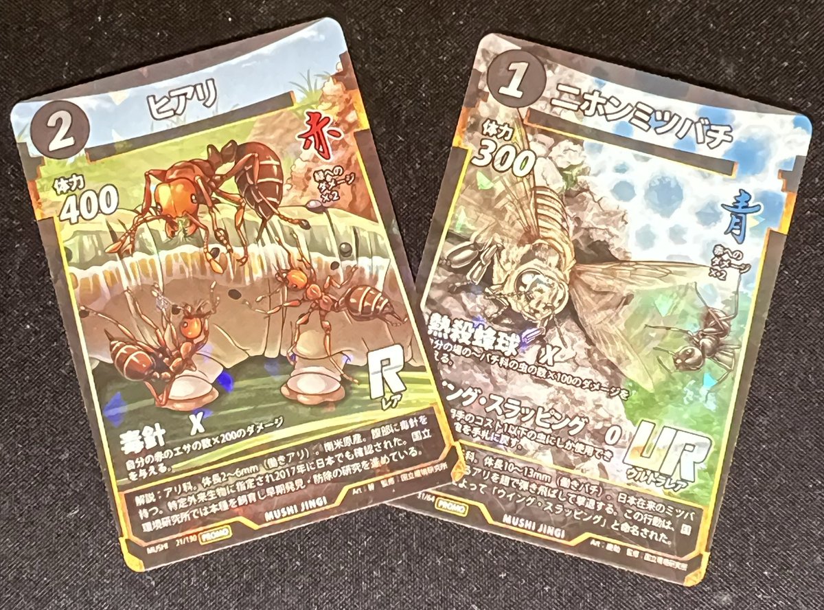 2月20日のなかま杯が、国立環境研究所のプロモカードの配布対象となり