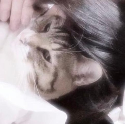 𝒏𝒚𝒂𝒏 tweet media