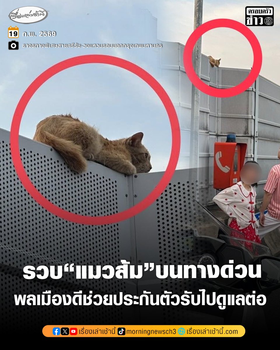 จราจรทางพิเศษสายศรีรัช-วงแหวนรอบนอกกรุงเทพมหานคร โพสต์ภาพน้องแมวส้มนอนอยู่บนแผนกันทางด่วน พร้อมระบุว่า "จราจรทางพิเศษ รวบ"แมวส้ม"บนทางด่วน นายยศพร ชยานนท์ จราจรทางพิเศษ 3277 ดำเนินการเรียบร้อย ครอบครัวผู้ใช้ทางด่วนผ่านมาเจอขอรับไปดูแลต่อ ขอให้น้องส้มโชคดี ขอบคุณมากๆครับ