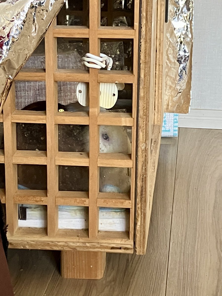 今から確定申告するんだけど後ろから圧かけられてる