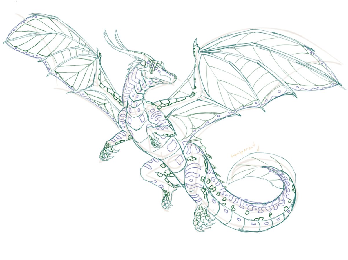 Rocket🇳🇿 tweet media