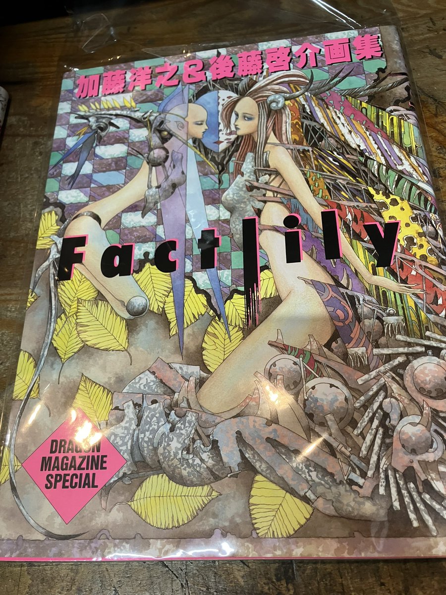 加藤洋之&後藤啓介画集「Factlily」を店頭に。