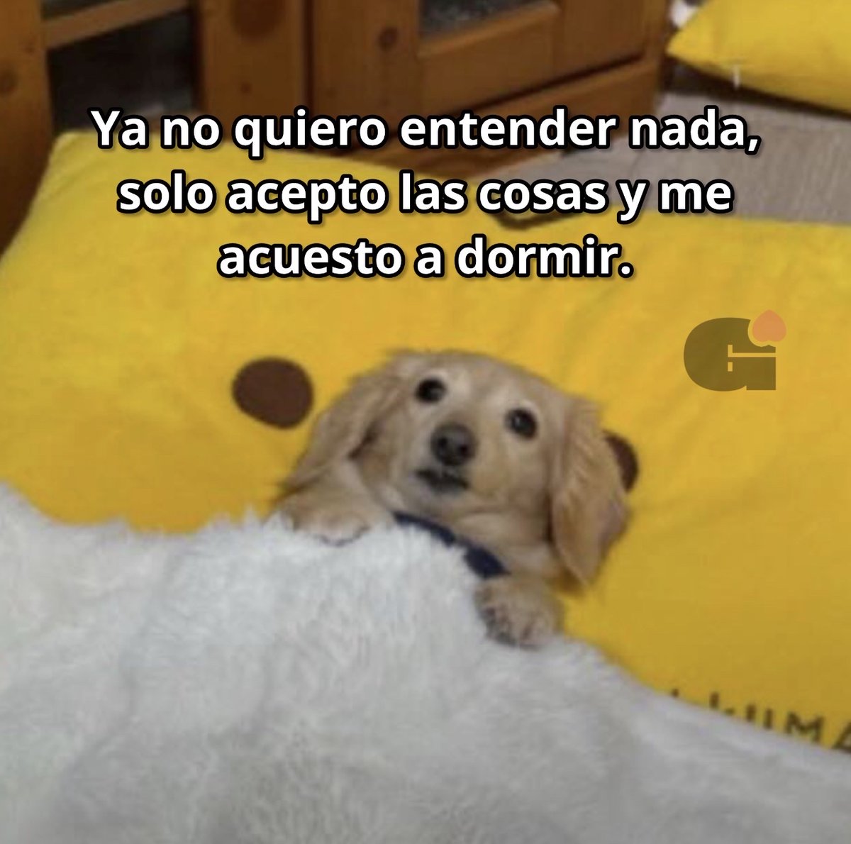 El Guarromántico tweet media