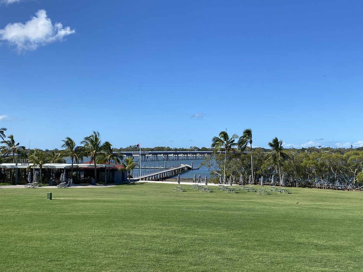 roamingfox | Alma tweet media