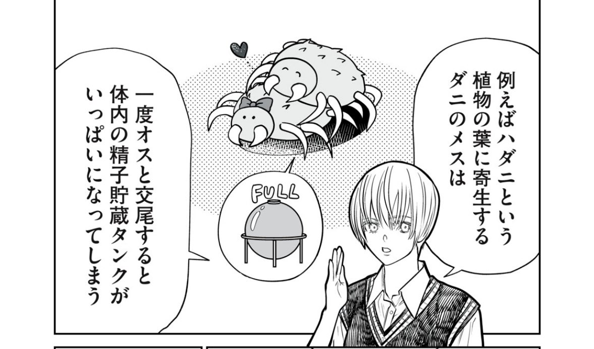 あくまでクジャクの話です。』 最新話更新日！ 48話がコミックDAYSにて