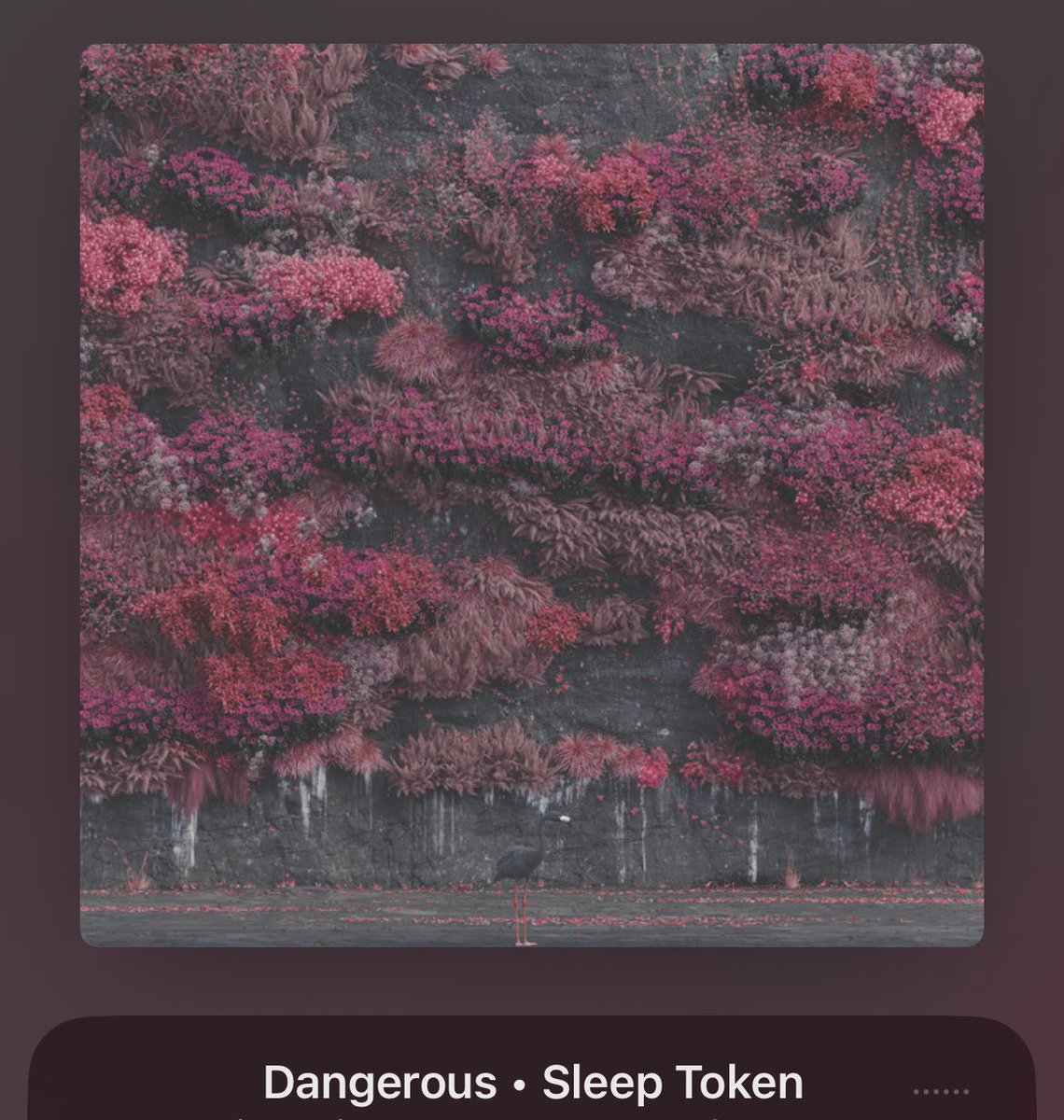 descensionismm's tweet photo. Nobody talks about dangerous enough, it’s the song that made me like EIA and my most played off the album … can we give her some more love please https://t.co/VgiZoPQVwz