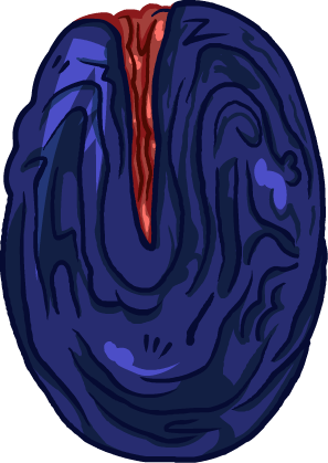 Nitr0cytiVA #1 D-SIDES FAN tweet media