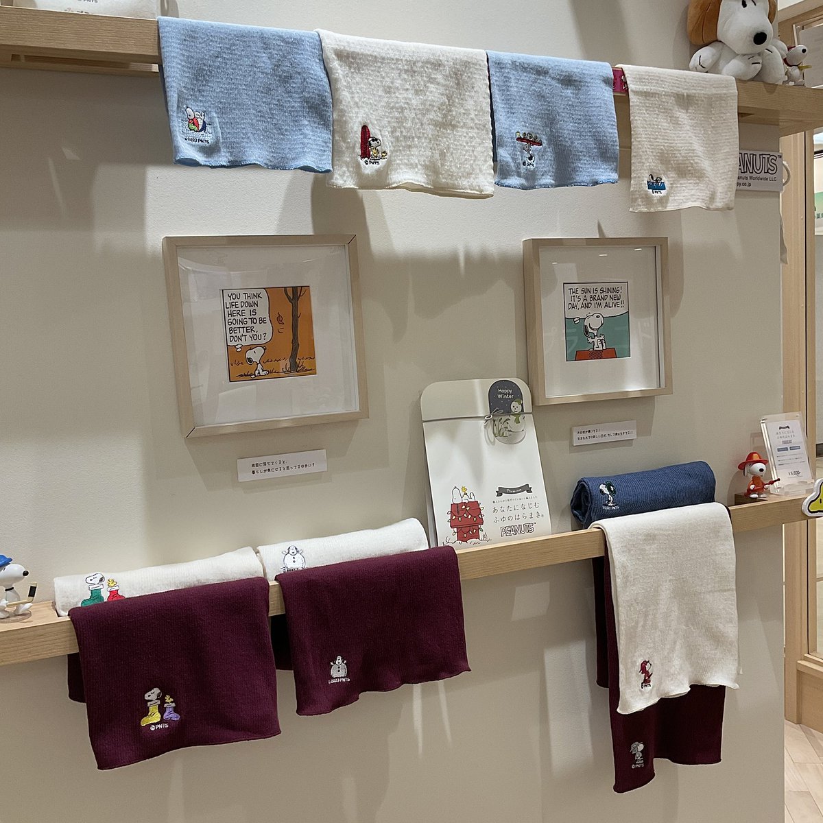 plus2do_'s tweet image. こんにちは！プラスニド丸の内スタッフの鈴木です☺️昨晩のインスタライブでも言っていたように、はるなつのはらまきがスタートしたので、ふゆのはらまきはそろそろ終わりです⛄️ちょっと待ったー🖐️‼️の駆け込み購入お待ちしておりますよ…🤭素敵な午後をお過ごしくださいませ〜✨