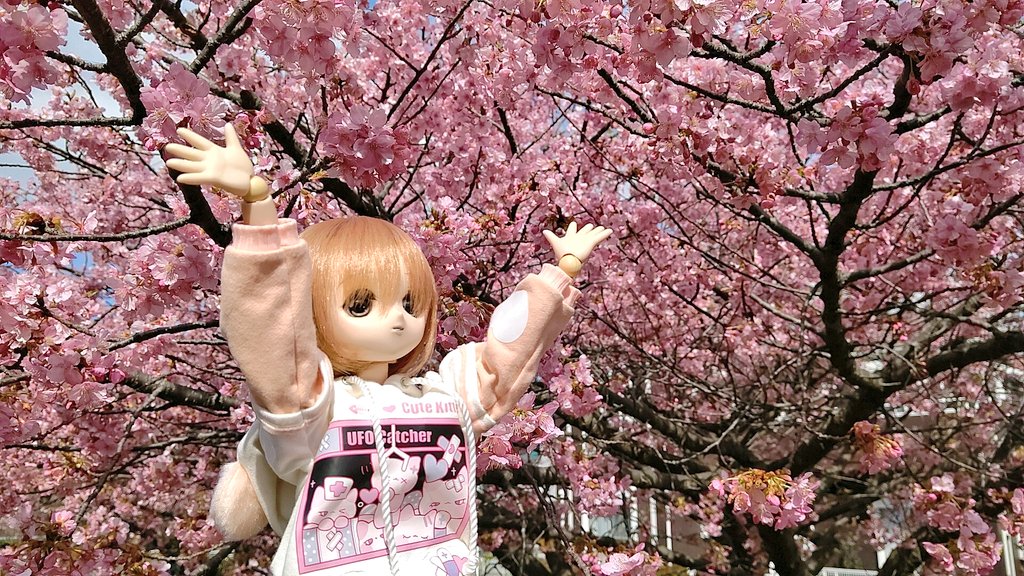 yusukepri6602's tweet image. #お昼休みに一枚だけドールの写真をはろう
 #MDDレナ
 #うちのこかわいい