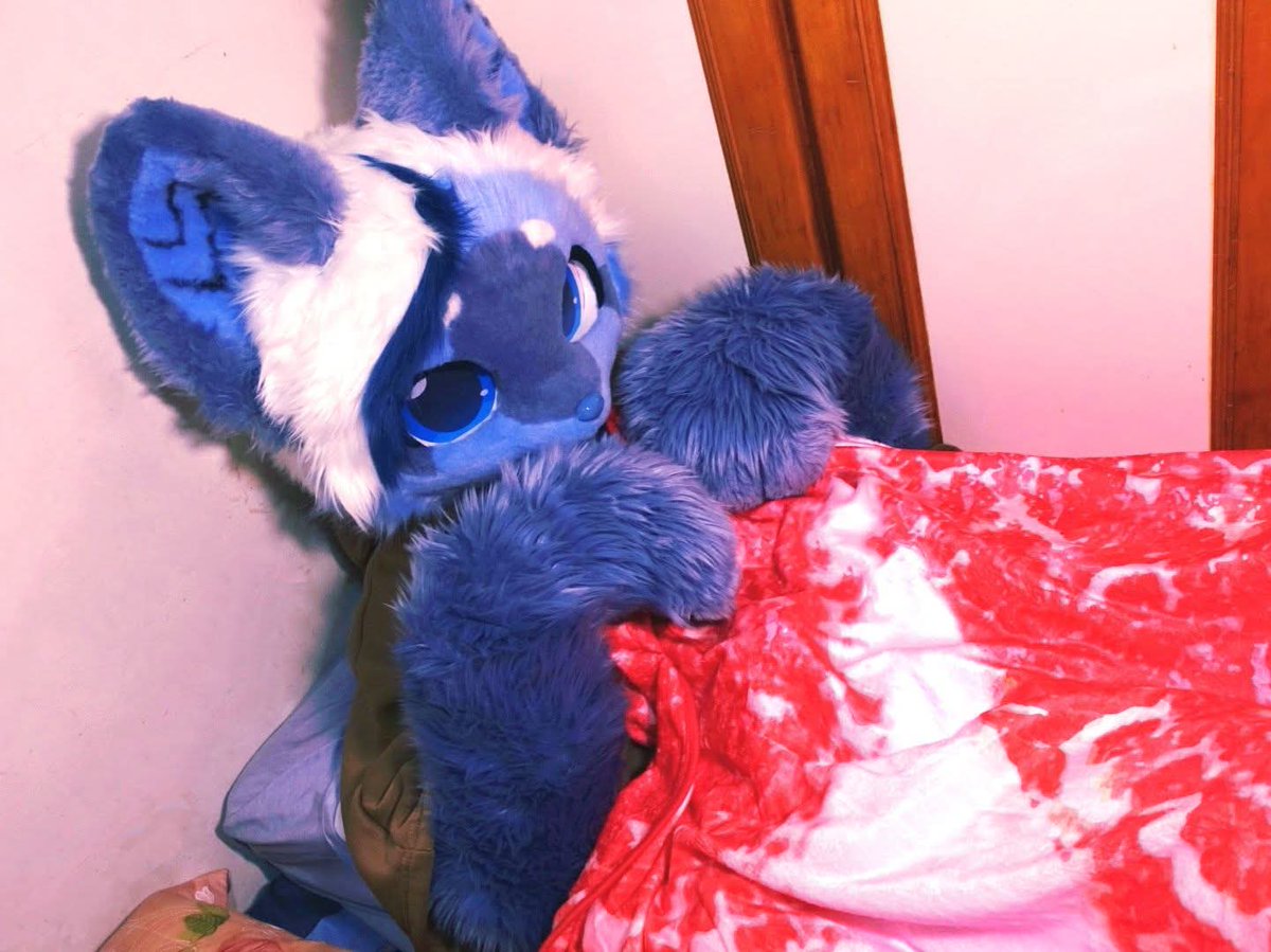 三次元乗貳貓 tweet media