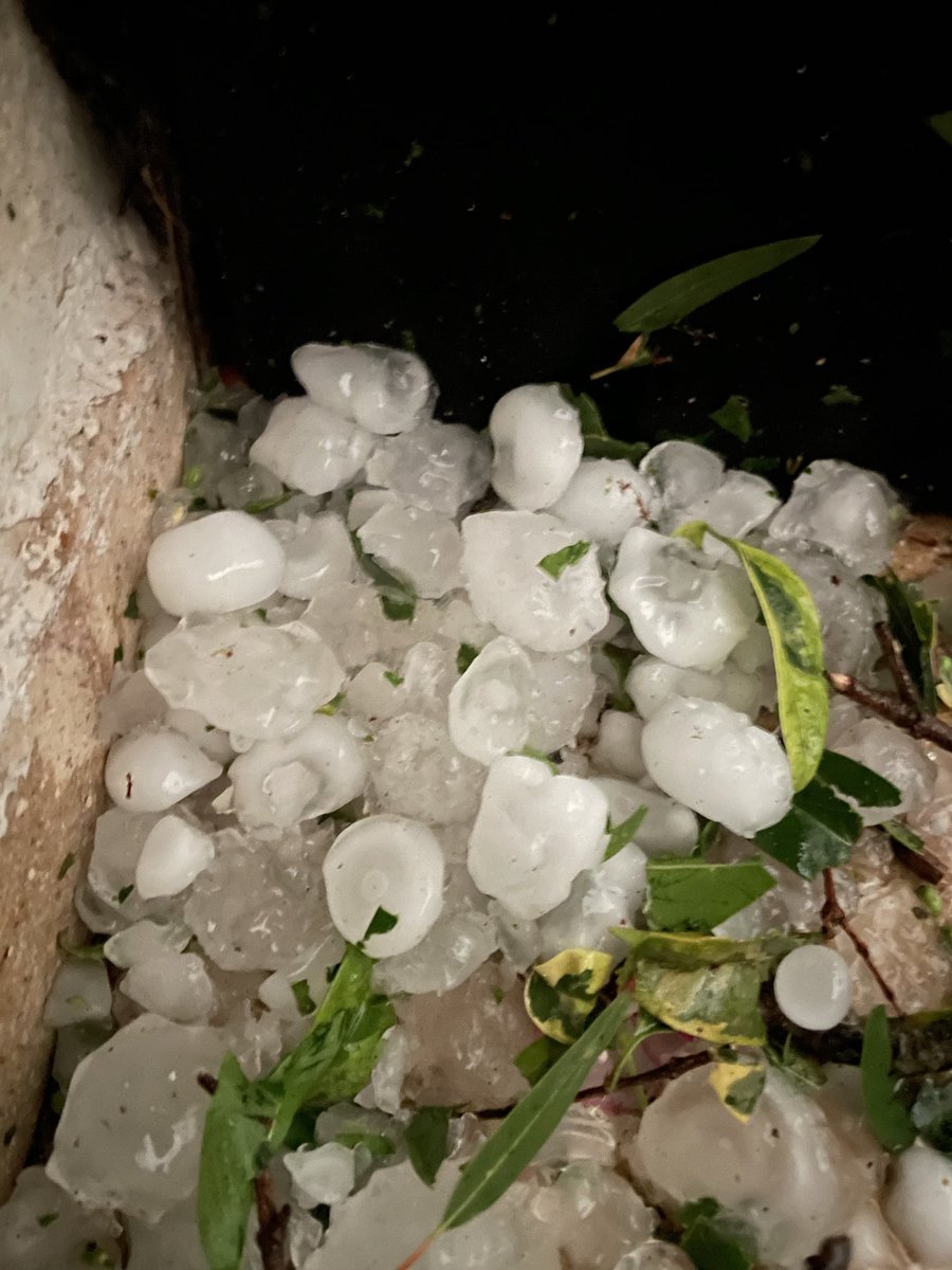 GuilleStorani1's tweet photo. Alrededor de las 19 hs tremendo temporal azotó Isla Verde, Córdoba. Fuertes ráfagas de viento, granizo de tamaño pelotas de golf y lluvia intensa. La piedra barrió todo a su paso, una pena enorme a pocos días de levantarse la cosecha. #Agro #Campo #Argentina https://t.co/ON9i6Cwpyr