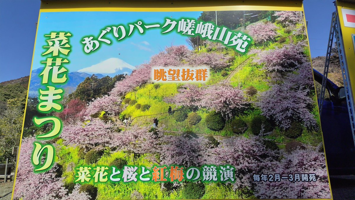 gg2boxing's tweet photo. 桜と富士山見てきました🌸 https://t.co/oOzEySxjHx