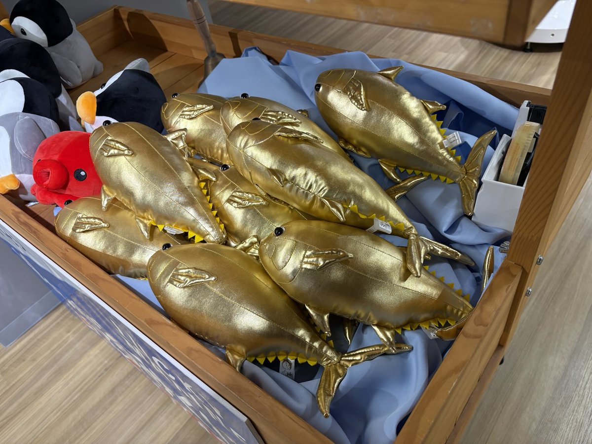 静岡は都会なので
ハイパーモードのマグロがいる