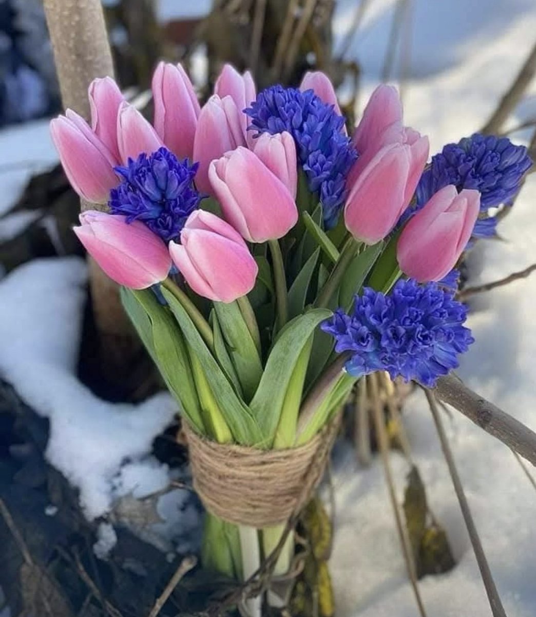 Dzień dobry. 
Przyjemnego Czwartku.
Wszystkiego dobrego 🌷
😊
