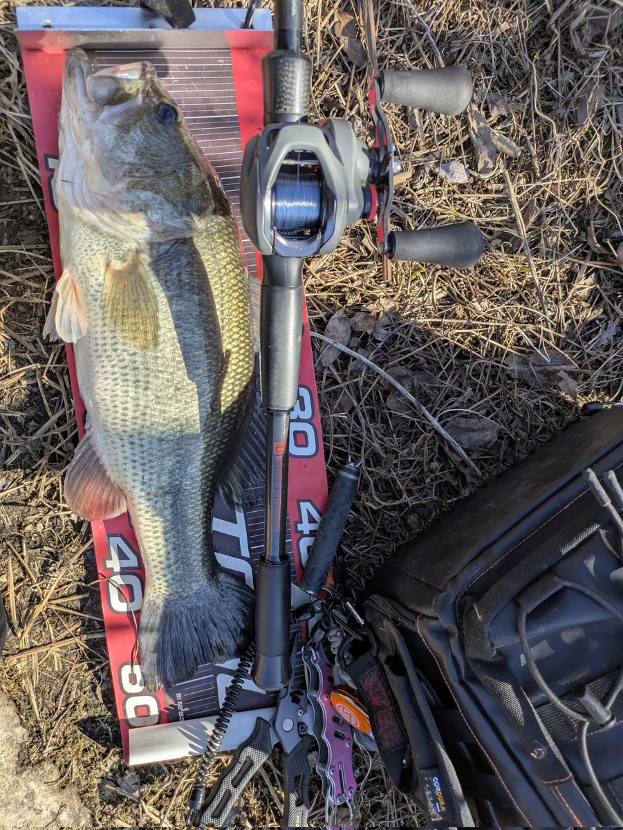 すぱげっち tweet media