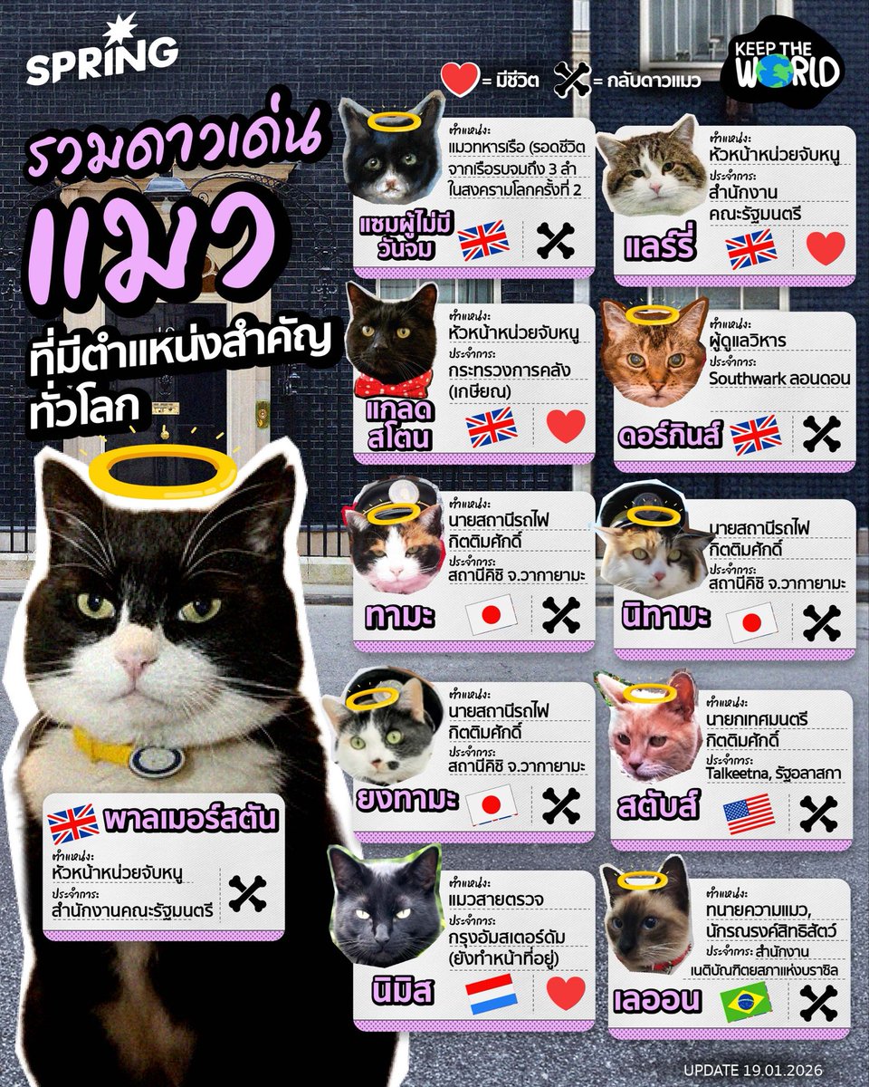 "ตำแหน่งอยู่ไม่นาน...แต่ตำนาน (แมว) อยู่ตลอดไป!" 🐱💼
.
ใครจะไปเชื่อว่าเจ้าเหมียวสี่ขาที่เราเห็นนอนพุงพลุ้ย จะมี 'ตำแหน่งงาน' จริงจังระดับชาติ! ตั้งแต่นักล่าหนูมือฉมังไปจนถึงนักการทูตท่านแรกของโลก
.
ชวนส่องโปรไฟล์ 4 เหมียวข้าราชการระดับไฮเอนด์: 
📍 พาลเมอร์สตัน:
