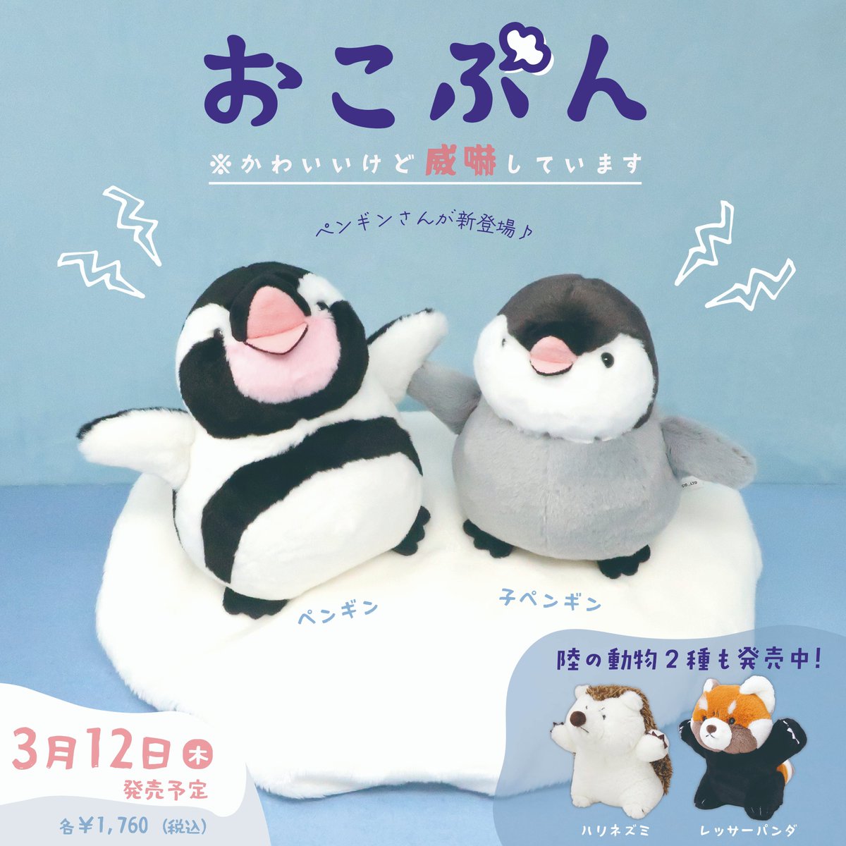 価格訂正のお詫び】 画像に表記されている上代価格に誤りがご