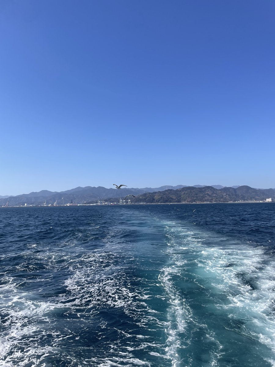 昨晩ワッチだったこともあり、爆睡かましてました😴
魚艙でゴタゴタうるさいのに案外眠れるもんだ笑
そしていつのまにか水揚げ終わってて岸壁から離れてた

また来年！