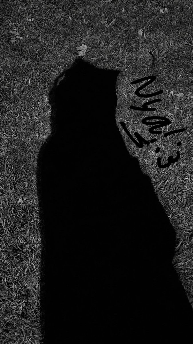 DaFives's tweet image. Someone left the front door unbaricaded and im out of the house now sooo
 ִֶָ𓂃 ࣪˖ᦓꪻ᥅ꪖꪗ𑄝𐌕𐌉𐌌𐌄 ִֶָ་༘࿐