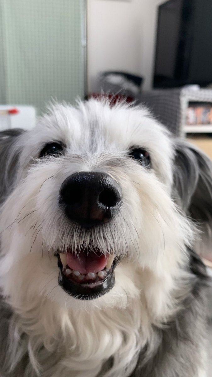 こんぶ tweet media