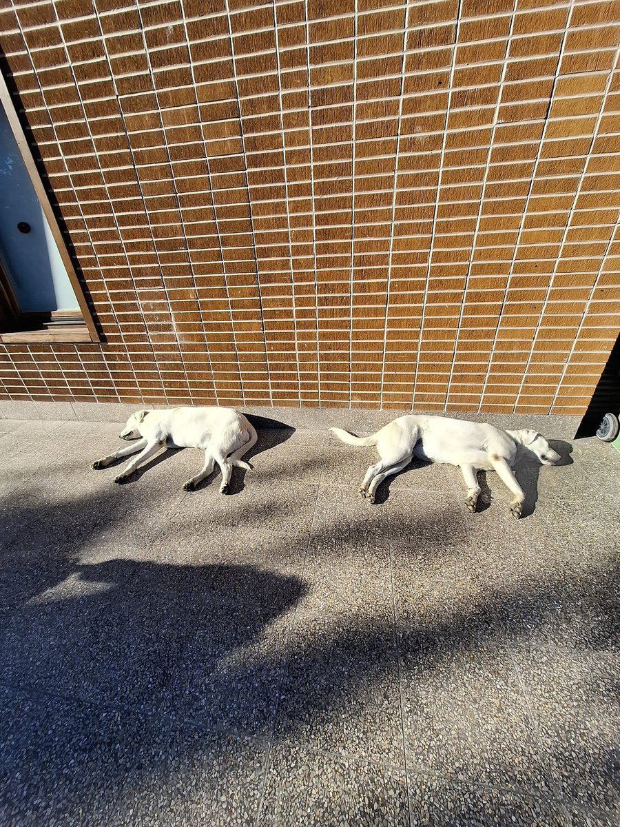 Aynı Dünya, ayrı Dünya.