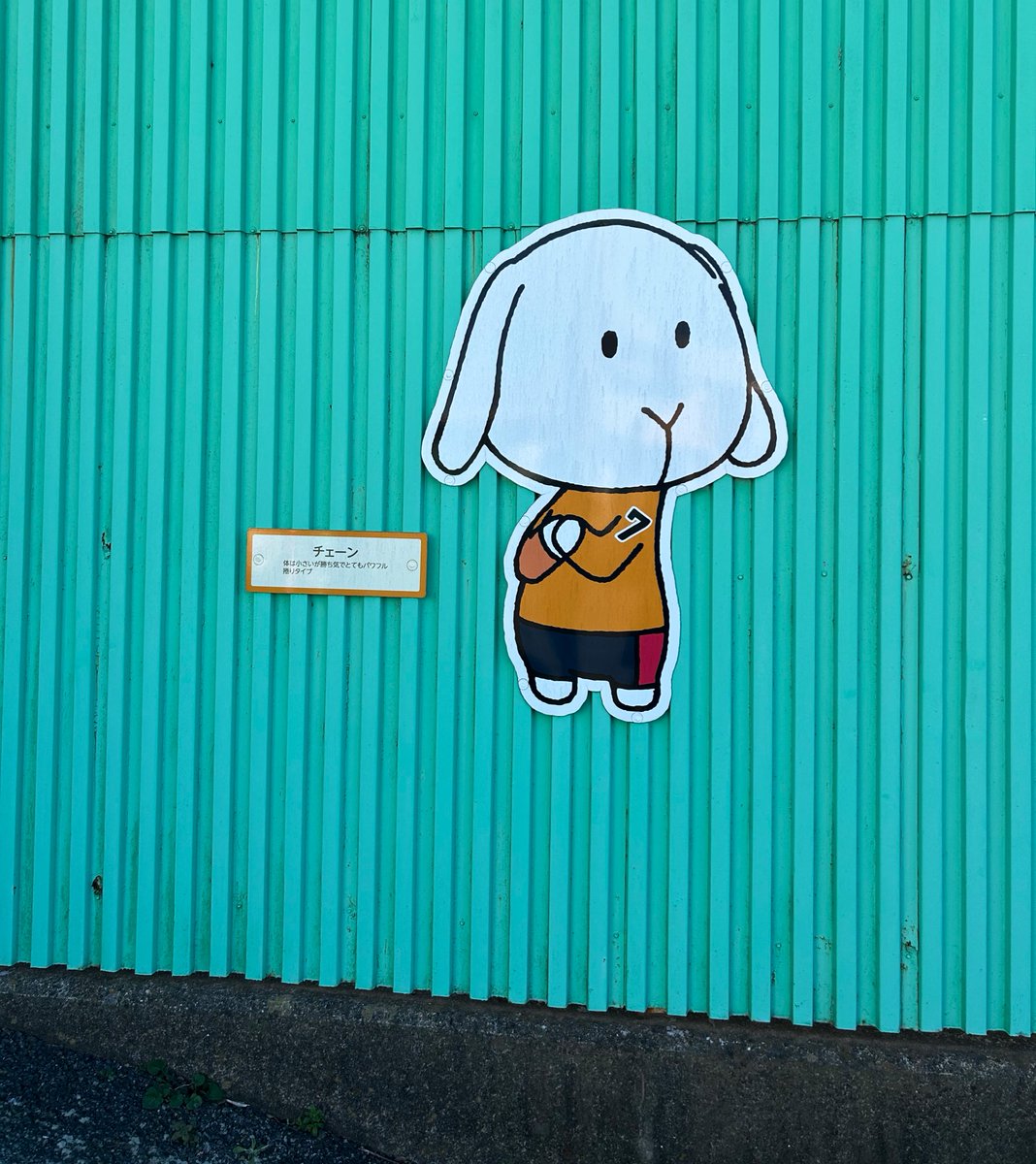 どーこだ🐰🧡