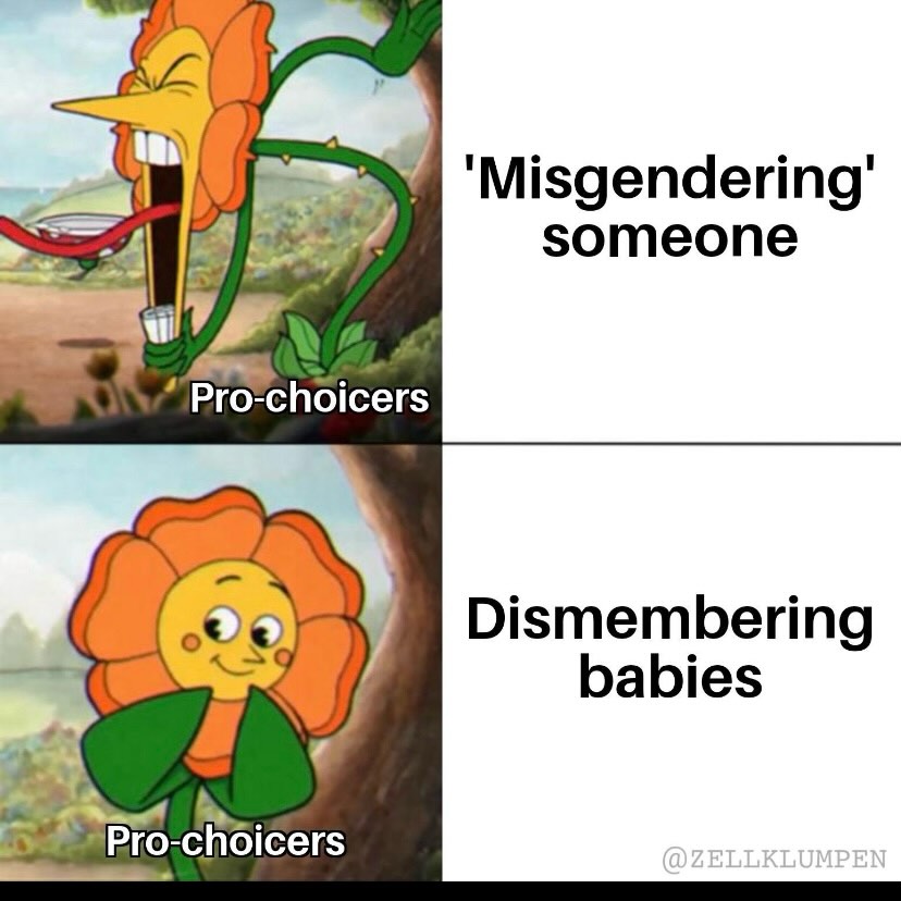 Fight With Memes tweet media