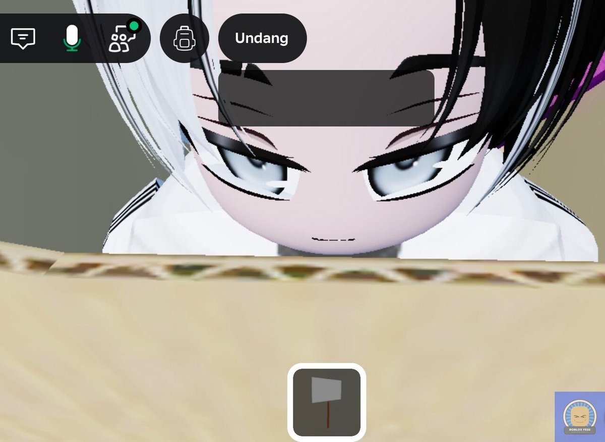 Roblox Fess tweet media