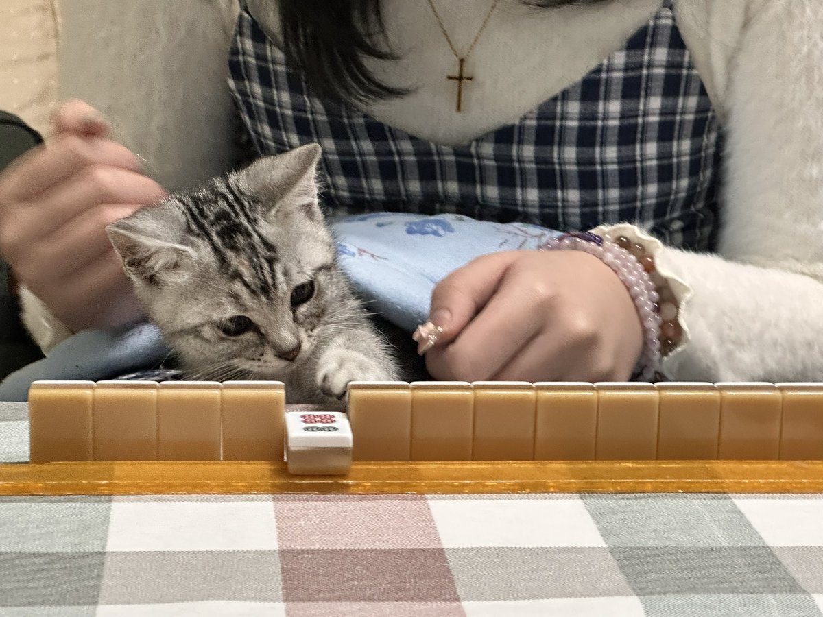 Fluffy Sean 尚恩➡️UTFG tweet media