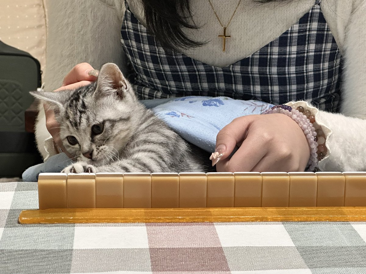 Fluffy Sean 尚恩➡️UTFG tweet media