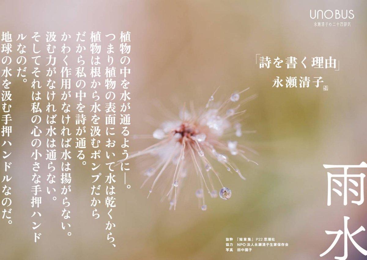2月22日（日）は清子生誕120年記念
第7回『紅梅忌』　墓参り　朗読会&amp;合唱　他母屋の随所にてブックリーディング　アート展　映像上映
入場料¥1000
“わたしの家へいらっしゃいよ”（清子）