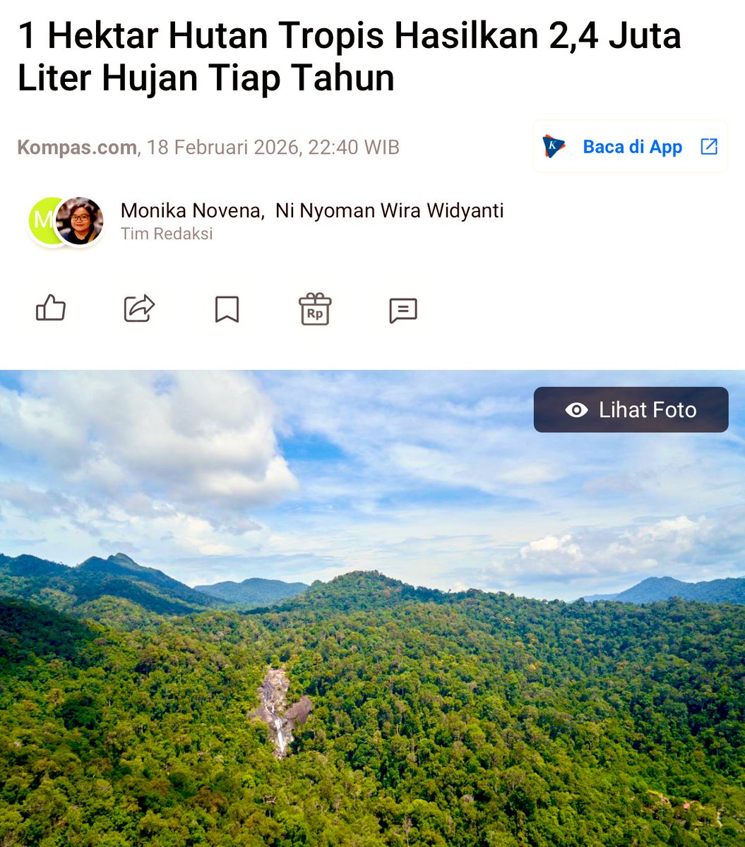 Every square metre of forest contributes 240 ± 60 litres of rainfall annually to the region, supporting its environmental services.  This translates to a monetary value of $59.40 ± 21.78 per hectare of tropical forest.

Conversely, deforestation has a detrimental impact…