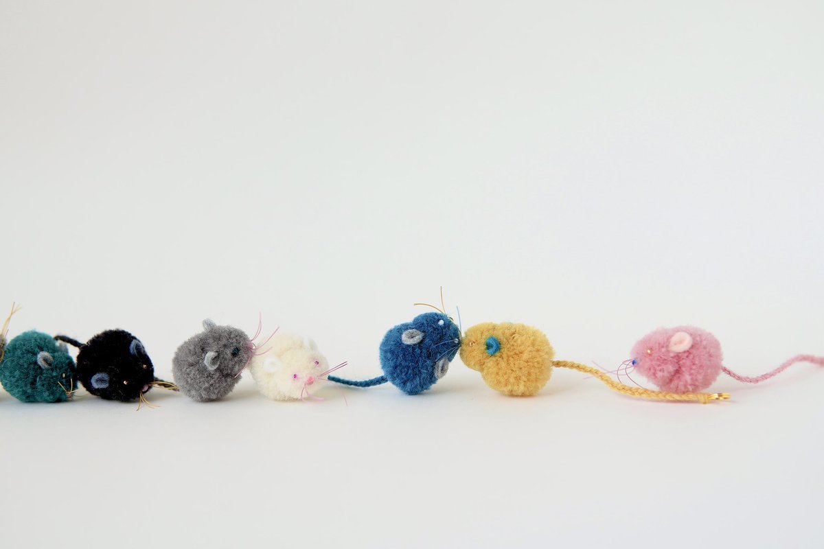 🐀🐀🐀

【THE CAT'S ISSUE FES 2026】
日程　2026年2月21日（土）•22日（日）•23日（月祝）
場所　HOME/WORK VILLAGE
thecatsissuefes.jp