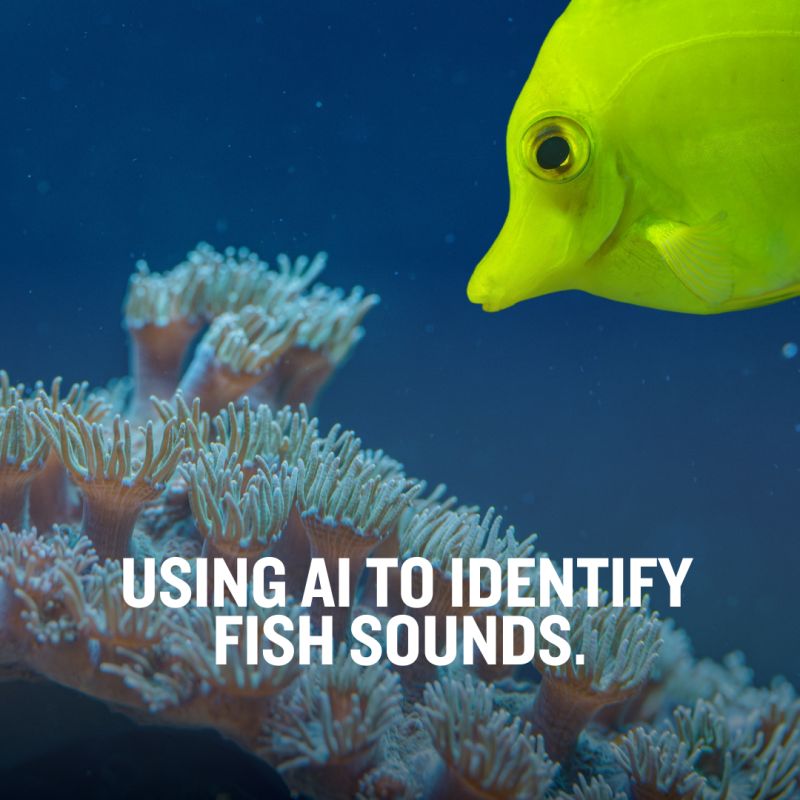 La Trobe Agriculture, Biomedicine & Environment tweet media