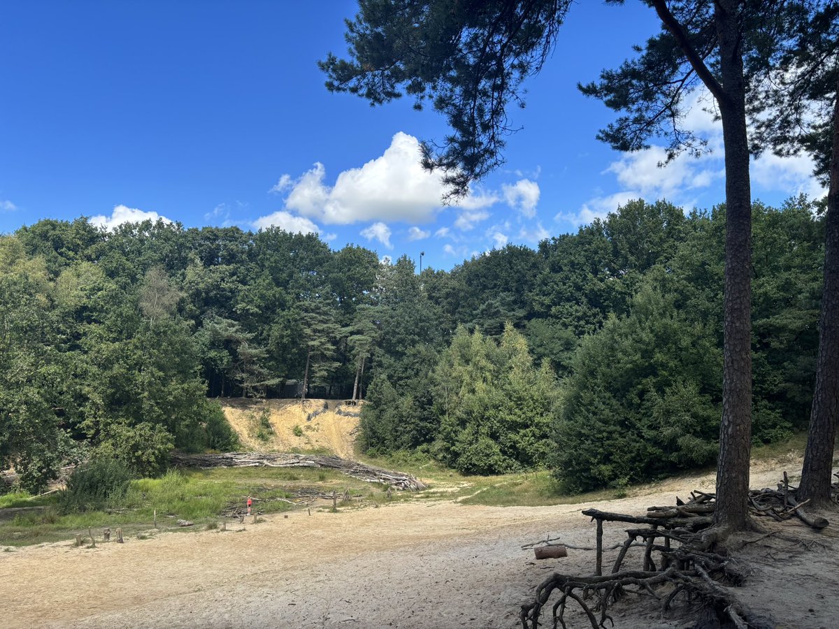 Martijn van der Wal tweet media