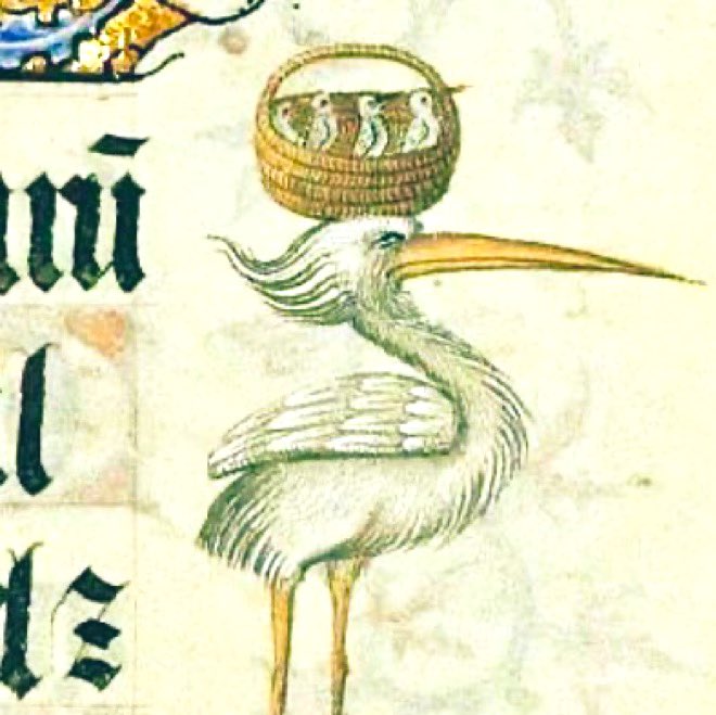 Medieval Military Medicine tweet media