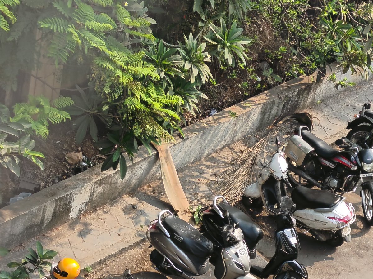 NeveilleWadia's tweet photo. Can you help clear this @mybmcWardD @mybmc every month this is accumulated and not cleared till we remind. This is in Gamadia Colony, near VastuShilp out gate. Plz instruct your men to clear the ones in between the in and out gate too https://t.co/zohiGt6DL7