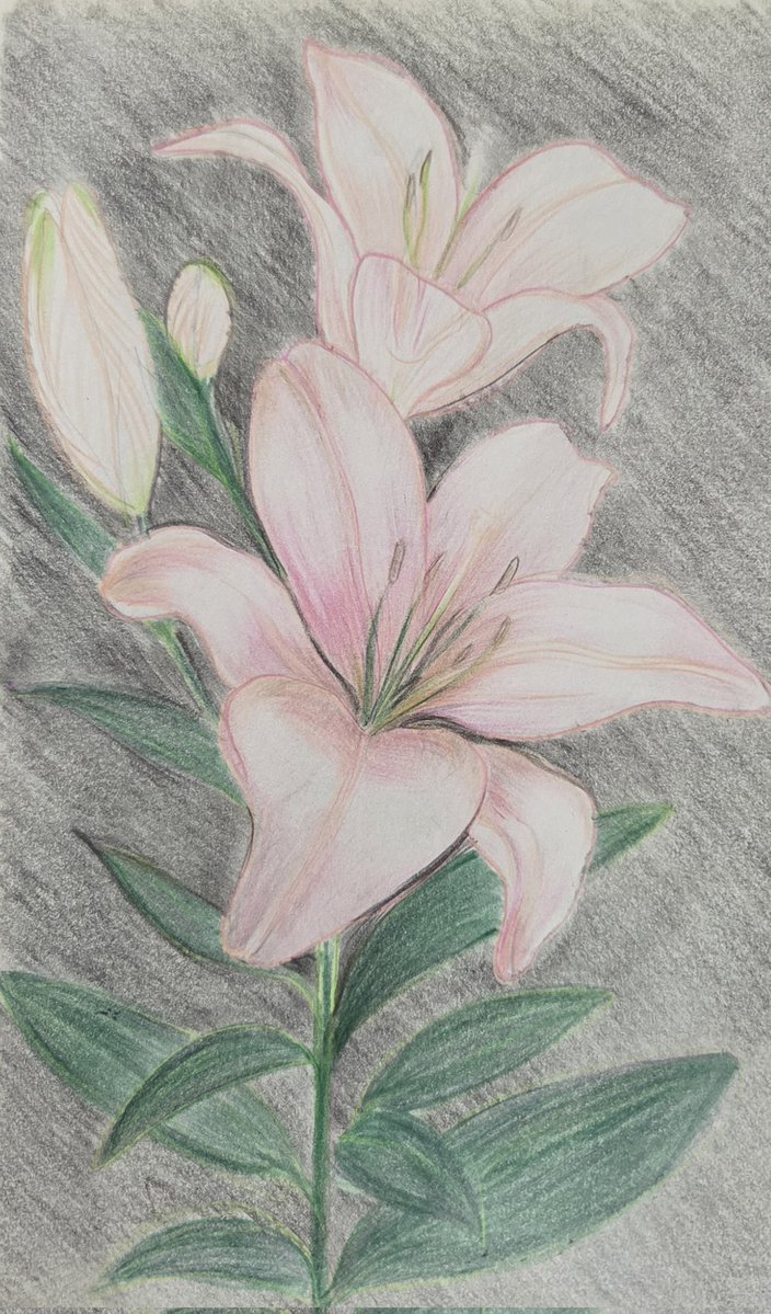 jon___nah's tweet image. Aprendiendo a colorear