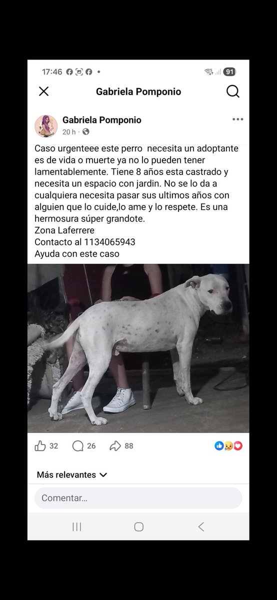 Maria Ines (@mariain77662119) on Twitter photo 