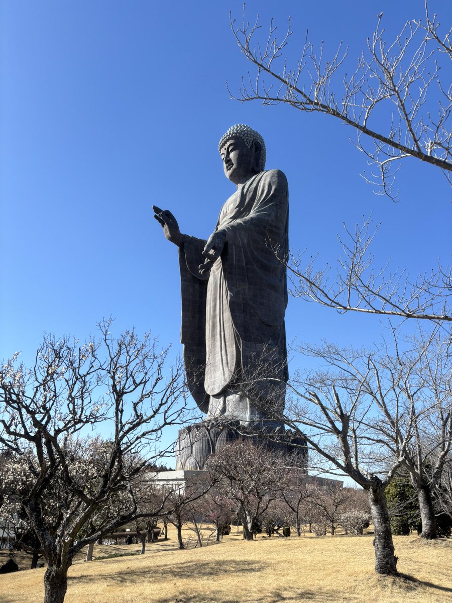 牛久市 牛久大仏 世界最大の青銅製立像。親鸞聖人の十二の光明にちなみ