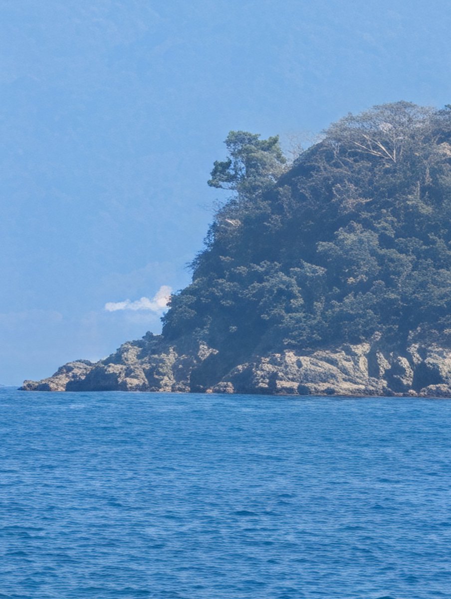 pixel10proのズーム比較。

メインレンズ24mm
10倍240mmハイレゾ
100倍2400mmAI超解像ズームpro