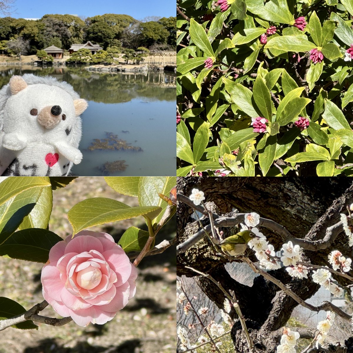 ろこ🌻🦔⸒⸒🧡 tweet media