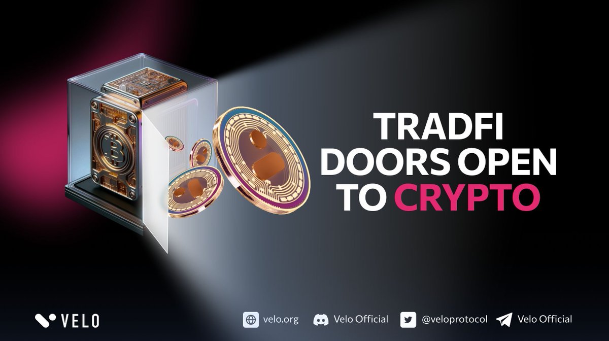 Velo Official tweet media