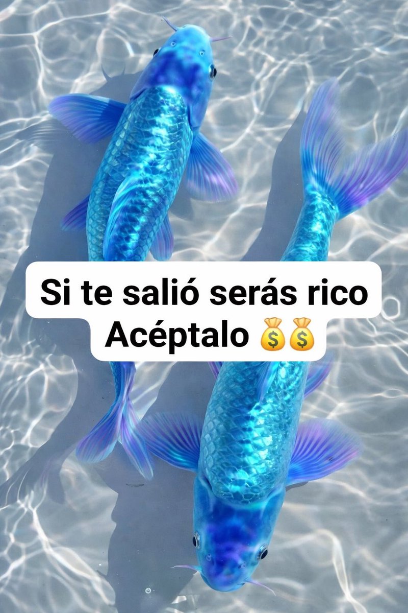 PensamientosX0's tweet photo. Acéptalo 🤑💚🍀 https://t.co/8loFtHGfdr