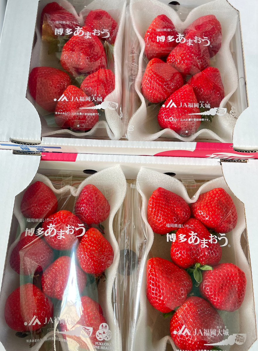 お待たせいたしました❣️໒₍ ܸ ̫ ܸ ₎১ フルーツ販売openしてます